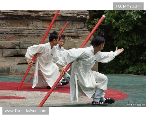 巅峰武术表演精彩瞬间展示力量与技巧的视觉盛宴