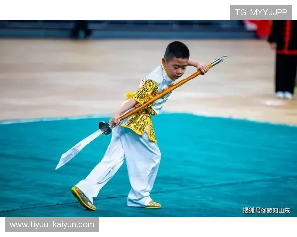 武术与民族传统体育的传承与发展探析文化认同与现代化挑战